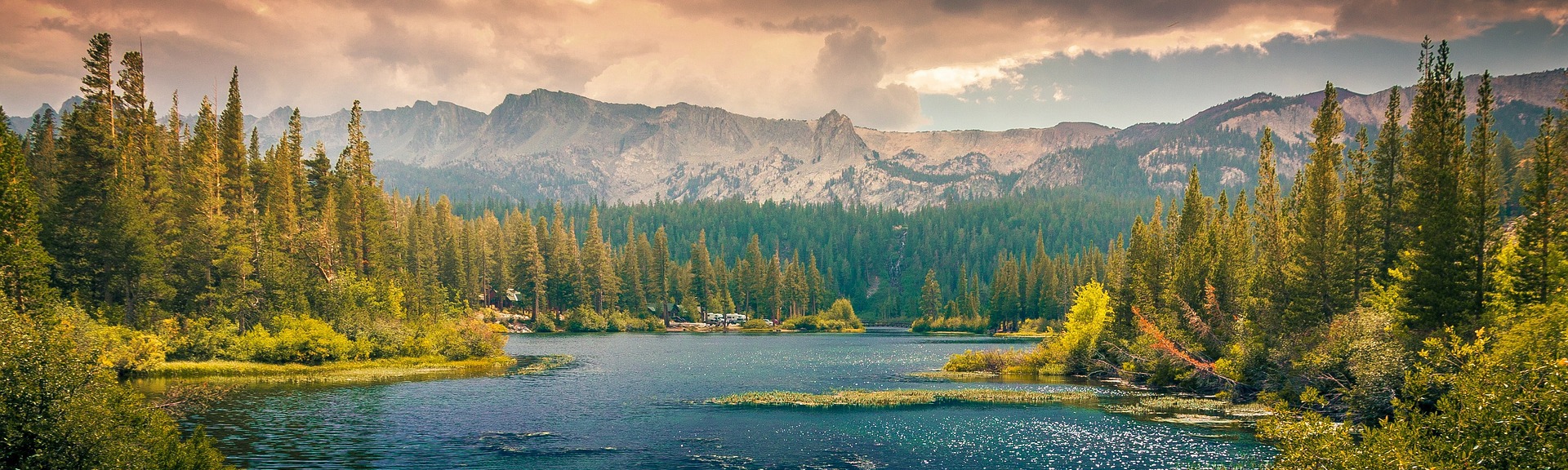 モーレイのひとりごと